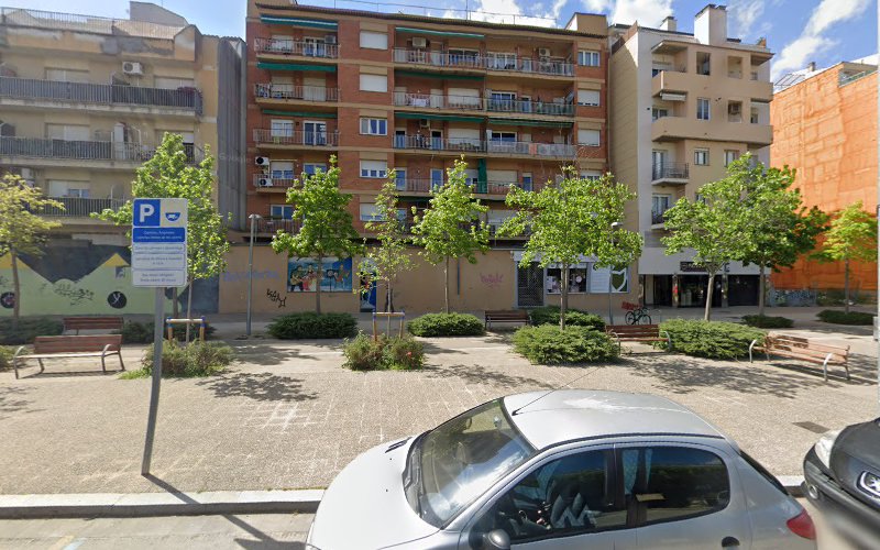 Academia Peluquería Canina Iv San Bernard, Girona en Girona