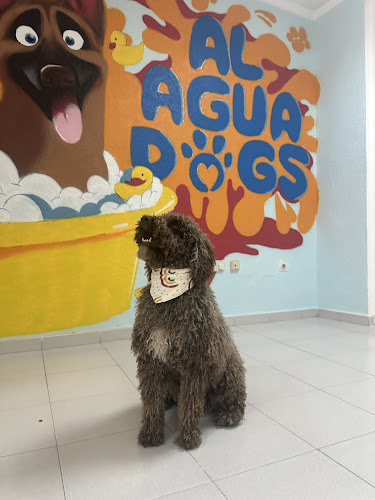 Al Agua Dogs en Murcia