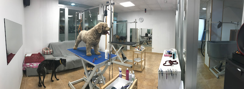 Alba Ponte Peluquera Canina en A Coruña