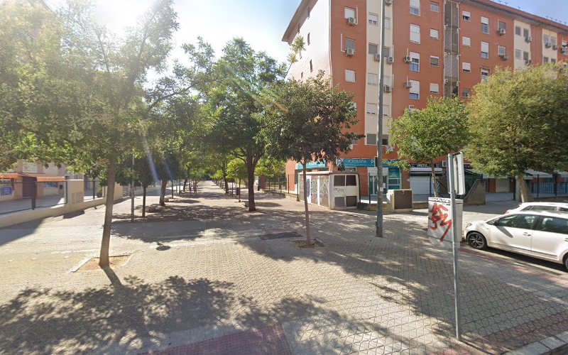 Alcomascotas Nuevo en Sevilla