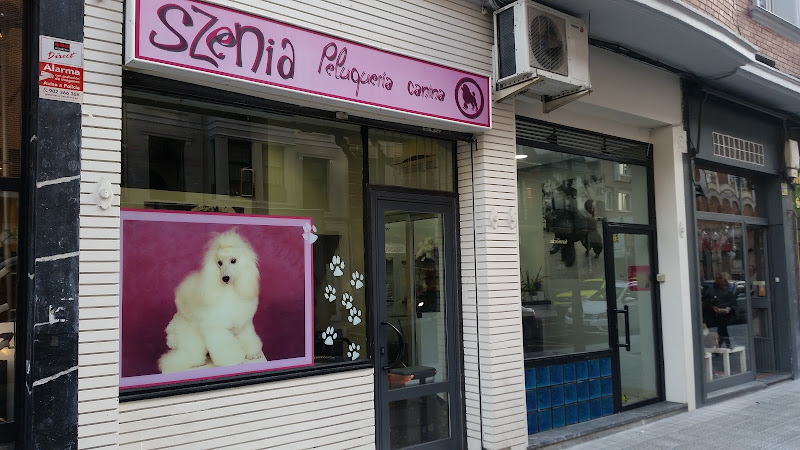 Almike Grooming (Szenia) en Biscay