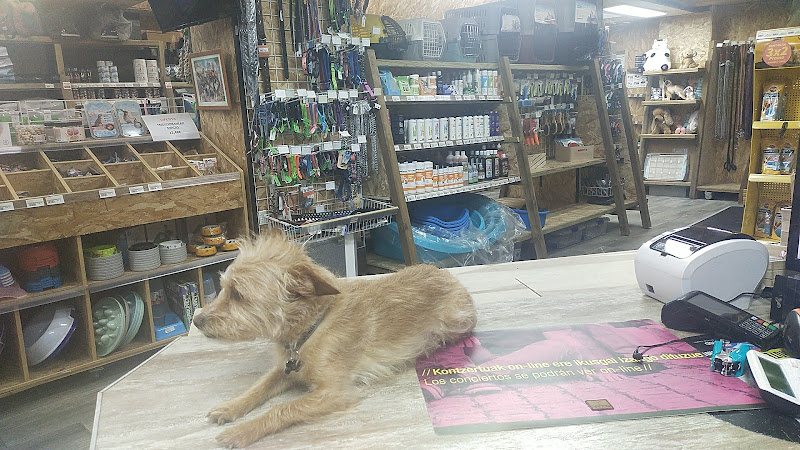 Amaita Mascotas en Gipuzkoa