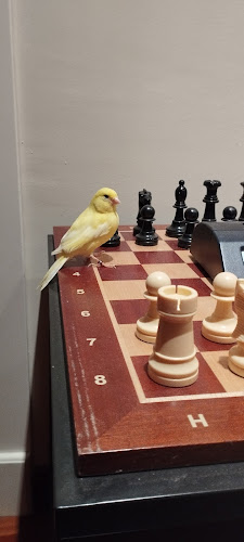 Amazoonia en Málaga