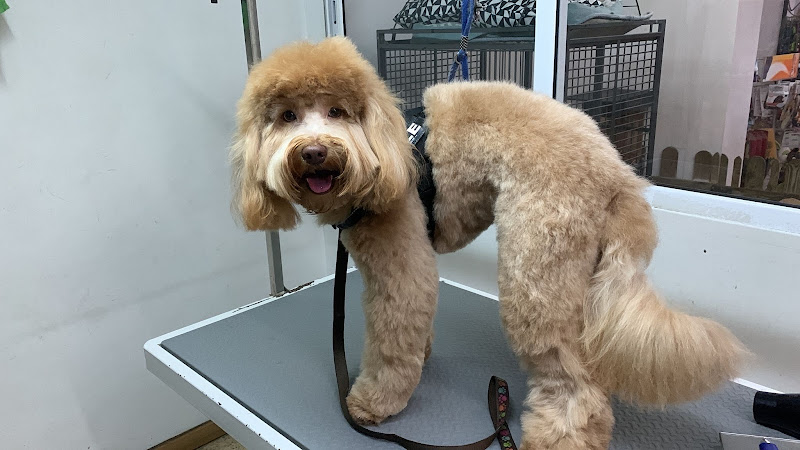 Amigo Mio en Barcelona