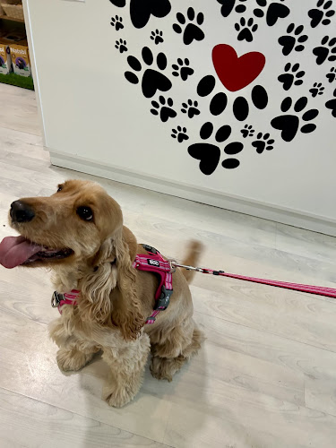 Amor Animal Moratalaz Tienda Y Peluquería Canina en Madrid