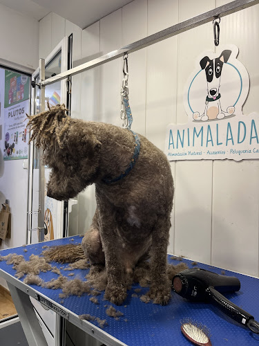 Animaladas | Mascotas en Sevilla