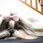 Animalades - Peluquería Canina – Peluquería Canina en Castellón De La Plana