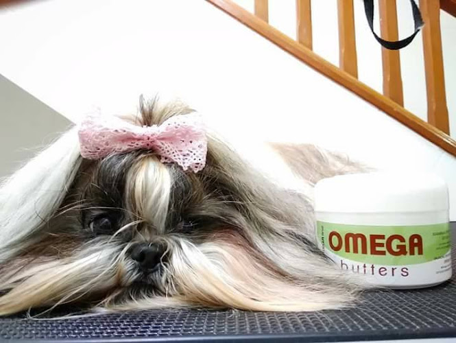 Animalades - Peluquería Canina en Castellón