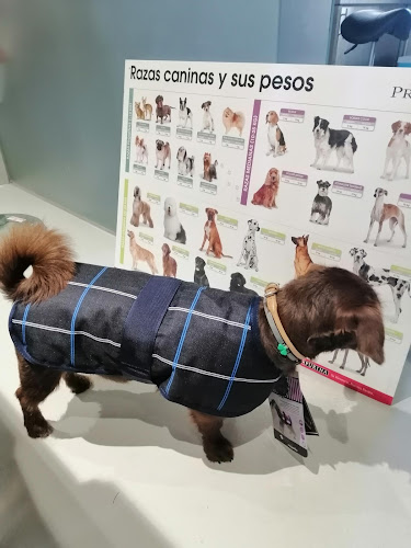 Animalía en Pontevedra
