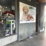 Animalia – Peluquería Canina en Donostia-san Sebastian