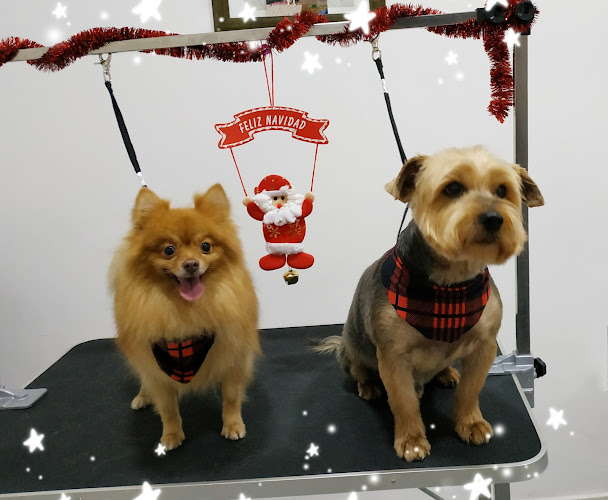 Animalia Iñigo en Málaga