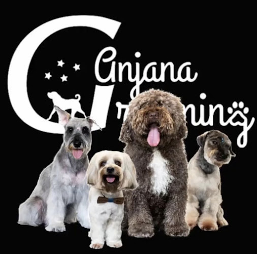 Anjana Grooming en Cantabria