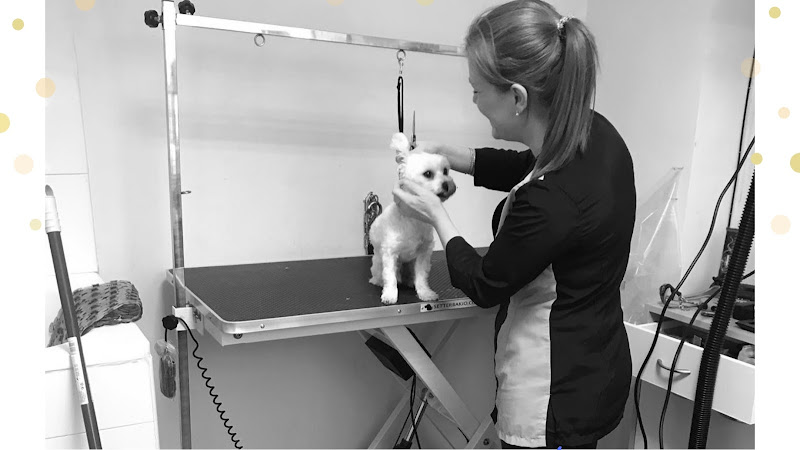Ankawa Peluquería Canina Y Pajareria en Balearic Islands