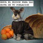 Aqua Dog Peluquería Canina – Peluquería Canina en Castellón De La Plana