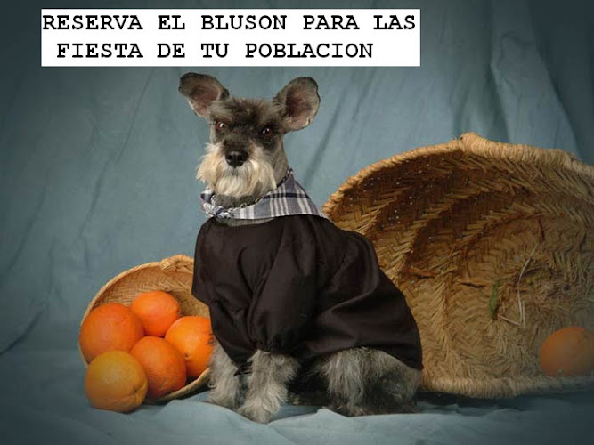 Aqua Dog Peluquería Canina en Castellón