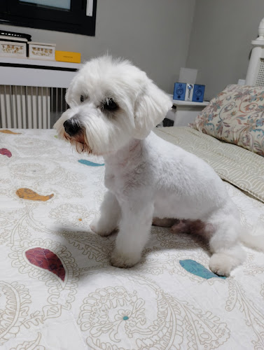 Aquaterra en Palencia