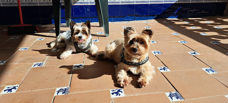 Arca De Noe en Palencia