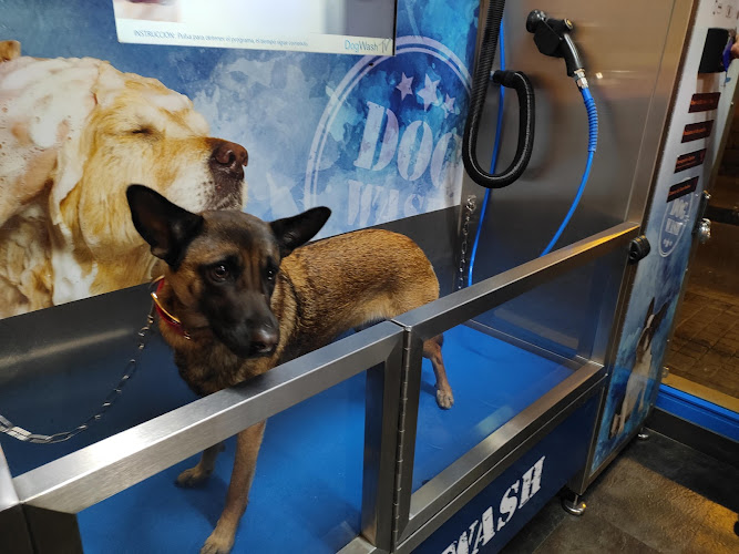 Argos Autolavado De Perros Y Peluquería Canina. en Barcelona