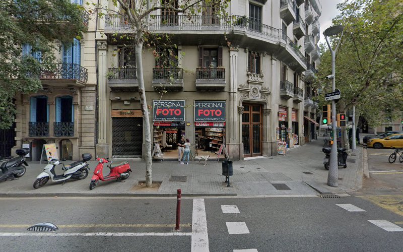 Art Animal en Barcelona