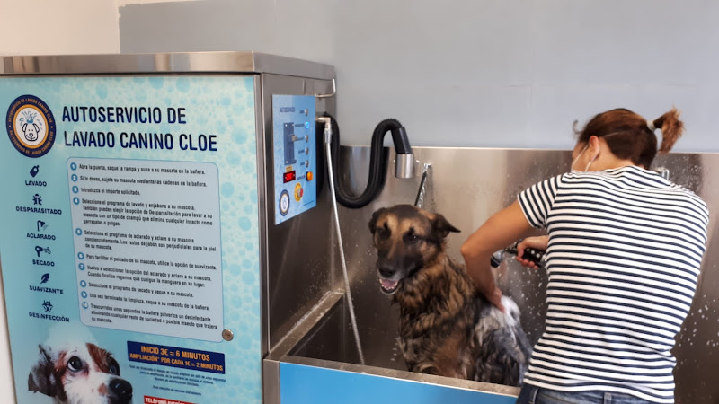 Autoservicio Y Peluquería Canina Cloe en Toledo