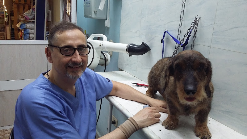 Aviscan Consulta Veterinaria Peluquería Canina Y Felina en Zaragoza