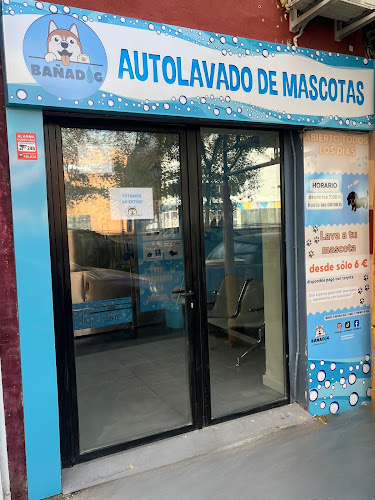 Bañadog Autolavado De Mascotas en Madrid