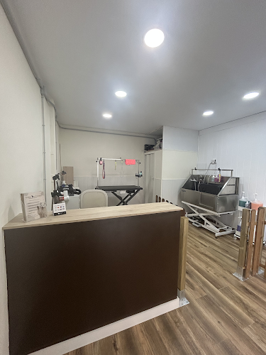 Bark Studio en Sevilla