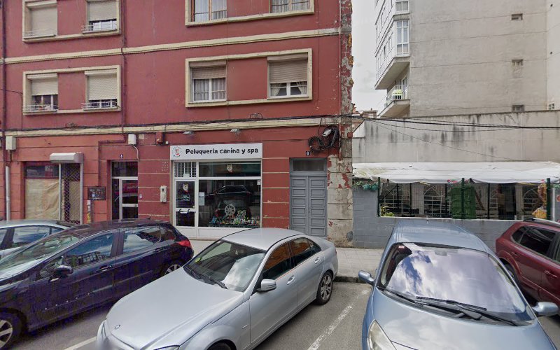 Beauty Dog Shop en Asturias