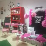 Beauty Dog Spa – Peluquería Canina en Valle De San Lorenzo