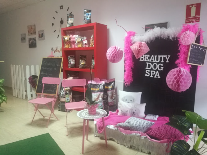 Beauty Dog Spa en Santa Cruz De Tenerife