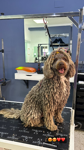 Beauty Pets, Peluquería Canina en Huelva