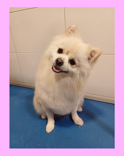 Beauty Pets en Málaga