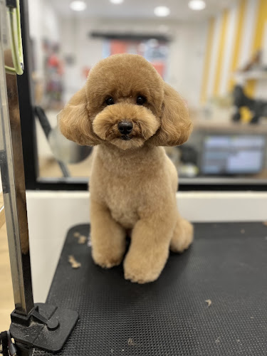 Berner Bcn en Barcelona