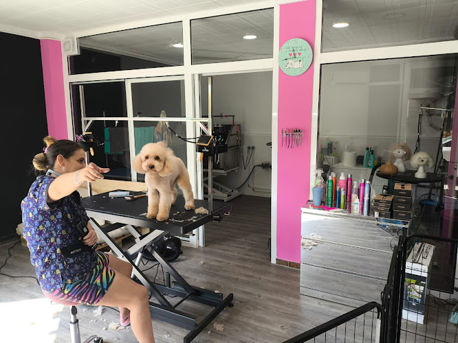 Bibi&Dogs Peluquería Canina en Barcelona