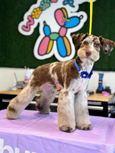 Burbur Pet Care en Alicante