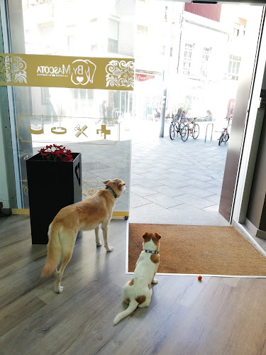 By Mascota Hospitalet - Veterinaria, Peluquería Mascotas & Tienda Mascotas en Barcelona