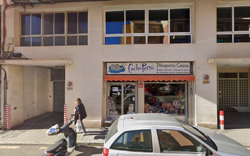 Cacho Perro Peluquería Canina en Alicante