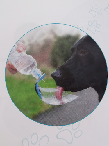 Can Pelu en Barcelona