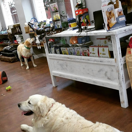 Canduxer en Barcelona