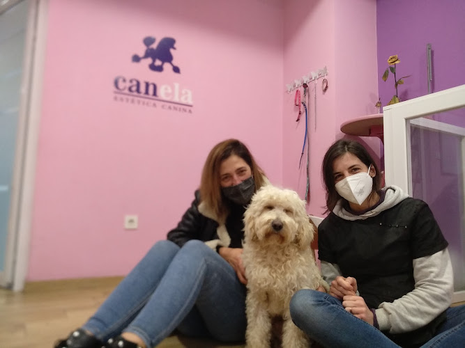Canela Peluquería Canina en Lugo