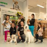 Canexion Mascotas – Peluquería Canina en Hernani