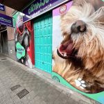 Canhijos Tienda Y Peluquería Canina – Peluquería Canina en La Laguna