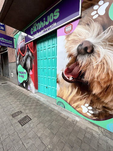 Canhijos Tienda Y Peluquería Canina en Santa Cruz De Tenerife