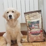 Canicross Market – Peluquería Canina en Logroño