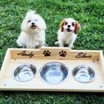 Caprichoanimal – Peluquería Canina en Es