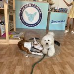 Carmen Conesa – Peluquería Canina en Mairena Del Aljarafe