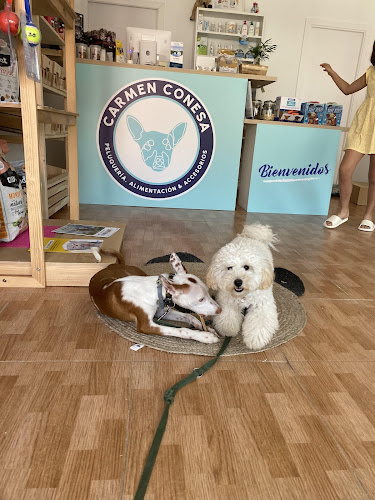 Carmen Conesa en Sevilla