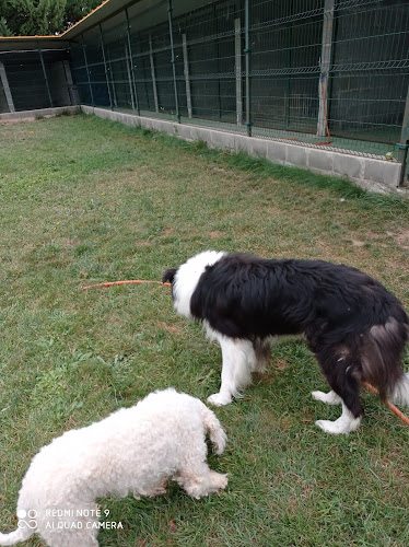 Centro Canino Alea Can en La Rioja