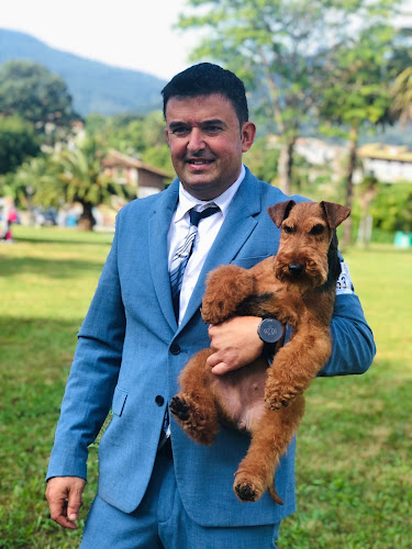 Centro Canino Besaya en Cantabria