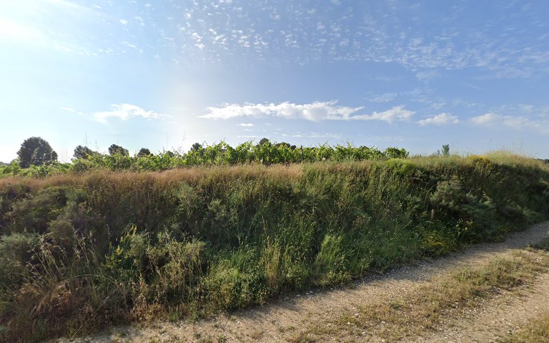 Centro Canino Canbezuelos en Navarra